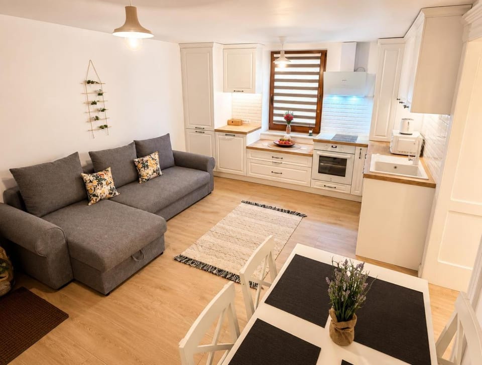 Central Hub Elite Brasov Apartment in Brasov