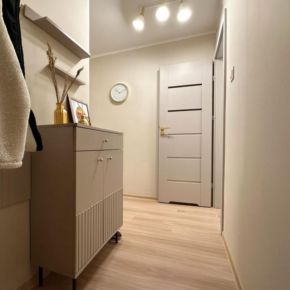 Mieszkanie w centrum miasta Apartment in Lithuania