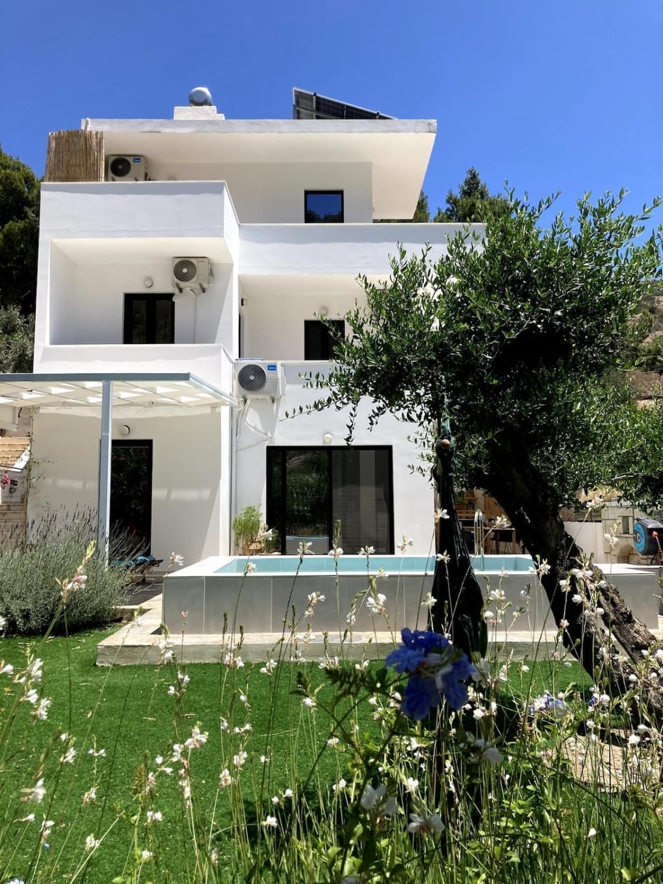 Property building, Spring, Day, Garden, Garden view