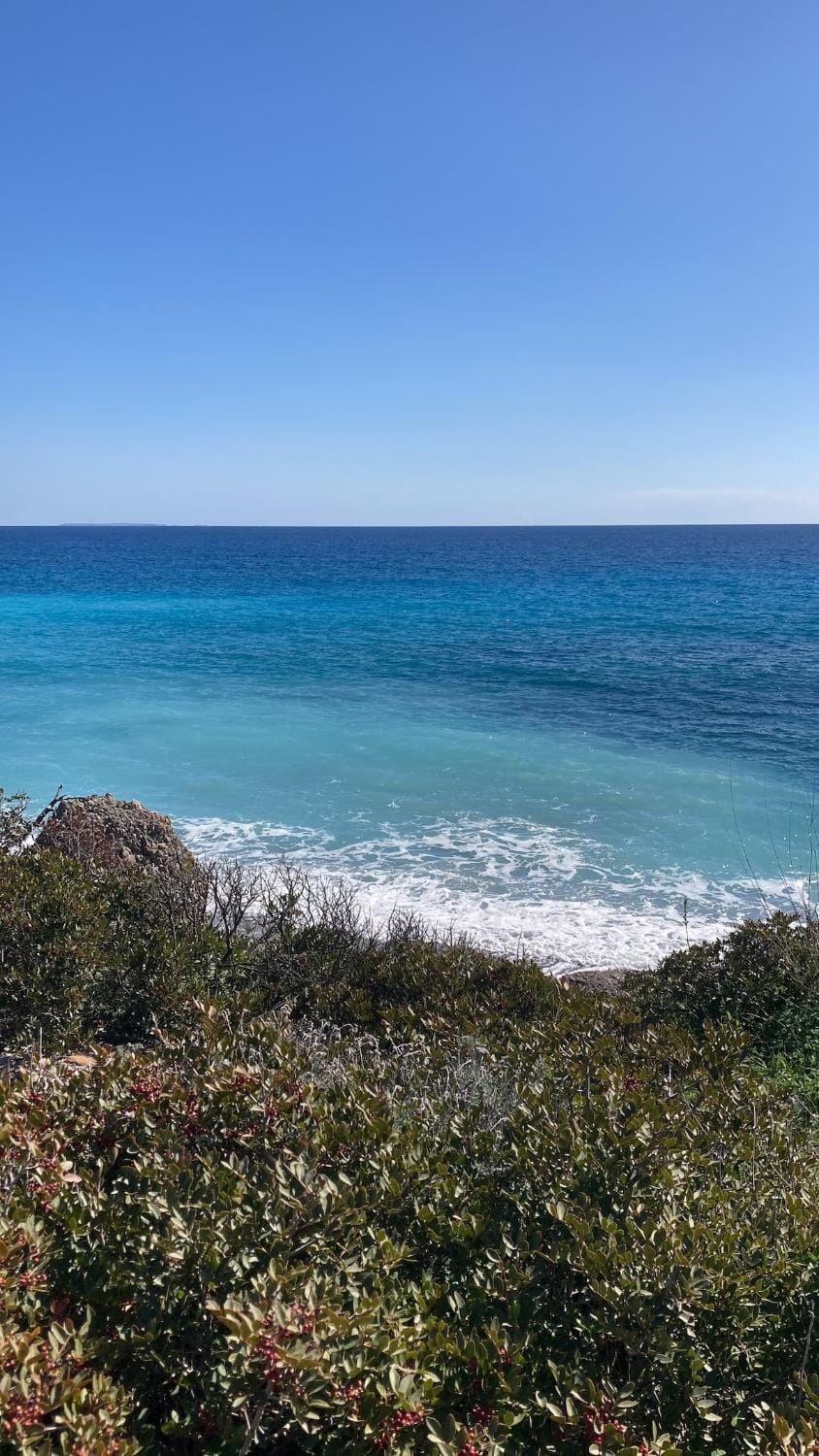 Natural landscape, Snorkeling, Beach