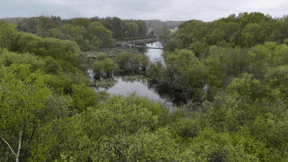 Natural landscape, Lake view
