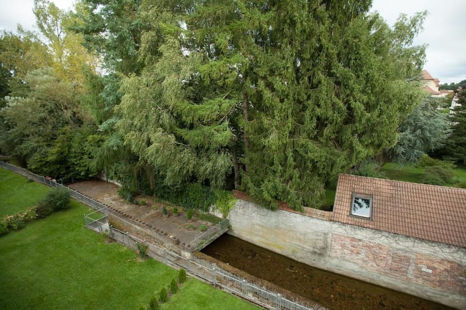 Lovely 1 room apartment near Basel Apartment in Baden-Württemberg