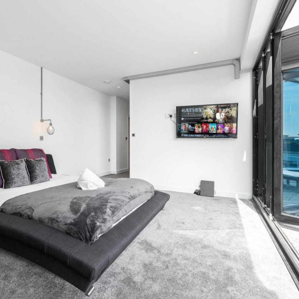 Bed, TV and multimedia, Seating area