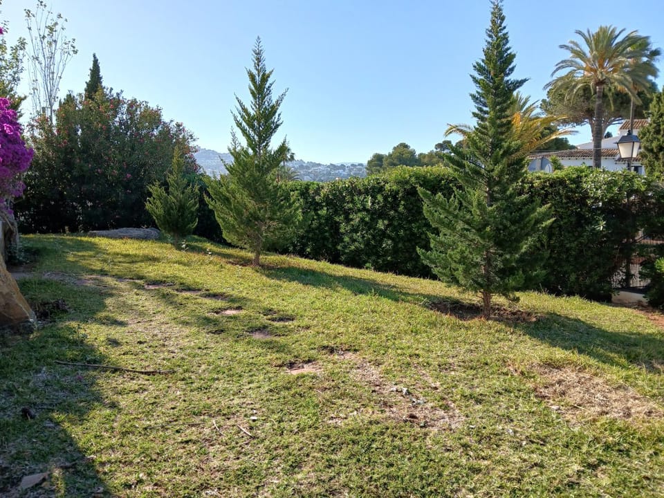 Garden view