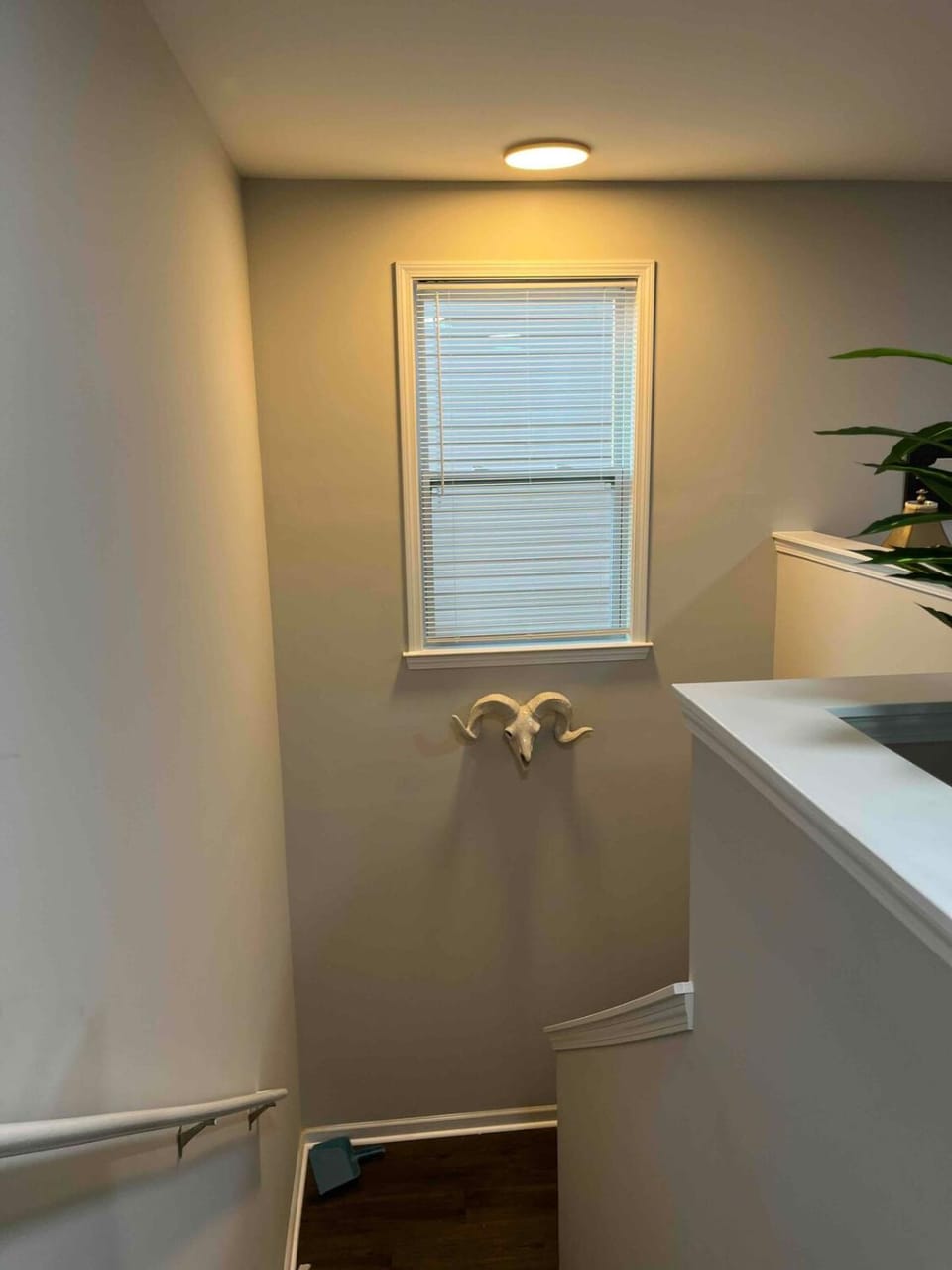 Spacious 4 bedroom House in University area close to PNC pavilion House in Charlotte