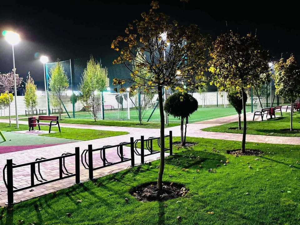Night, Natural landscape, Garden, Garden