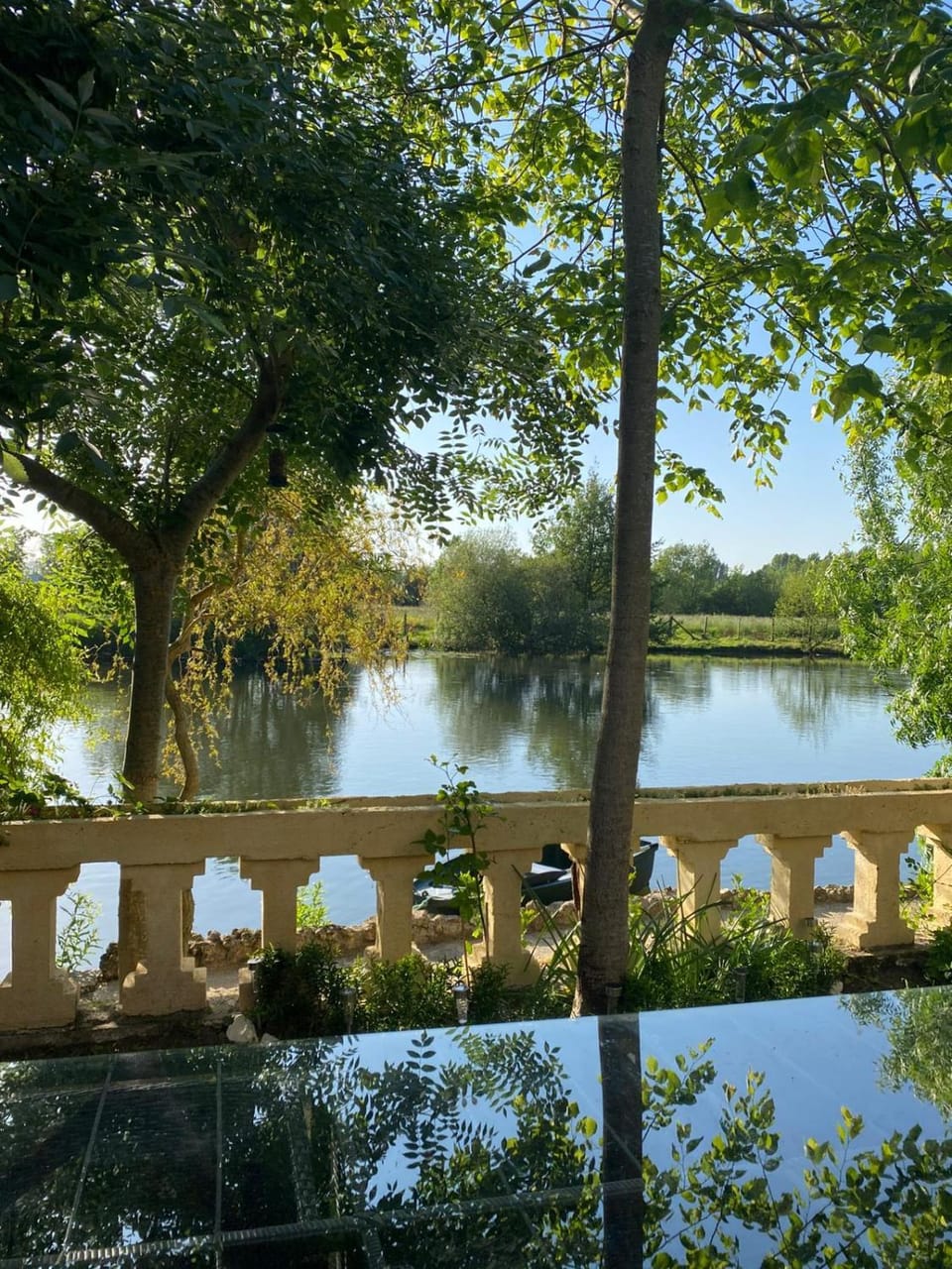 Au Lion D'Or - Bâtisse Historique House in Centre-Val de Loire