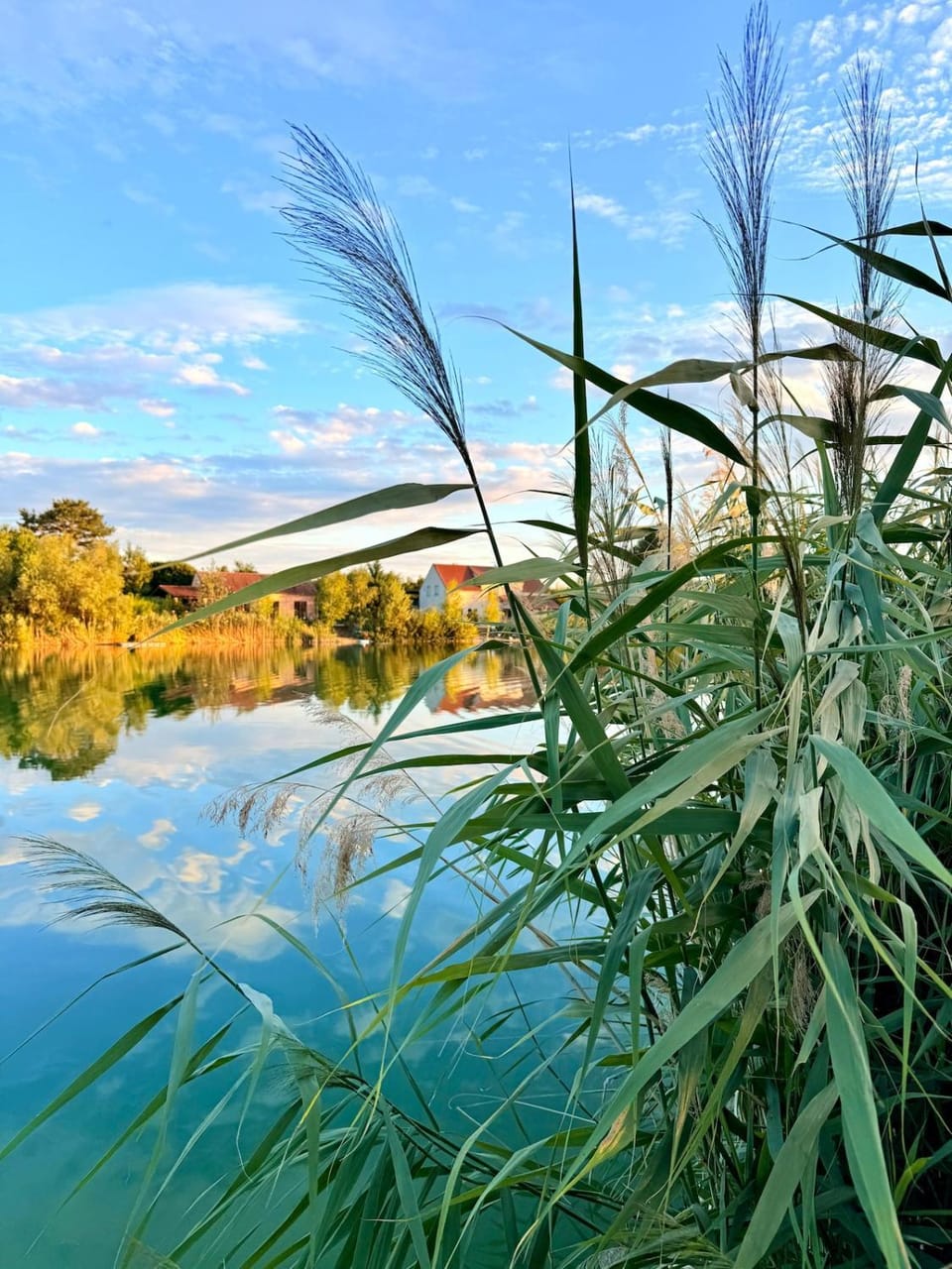 Lake view