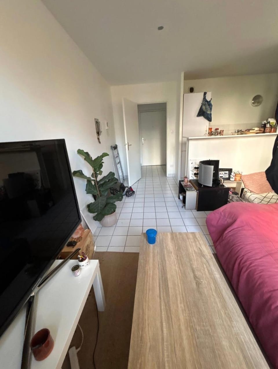 Appart lumineux Croix Rousse Apartment in Caluire-et-Cuire