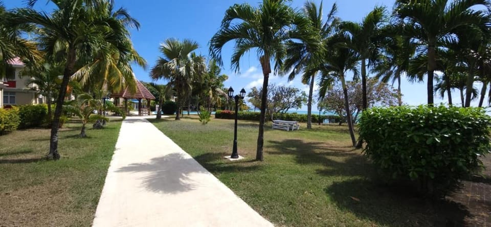 Natural landscape, Garden, Garden view