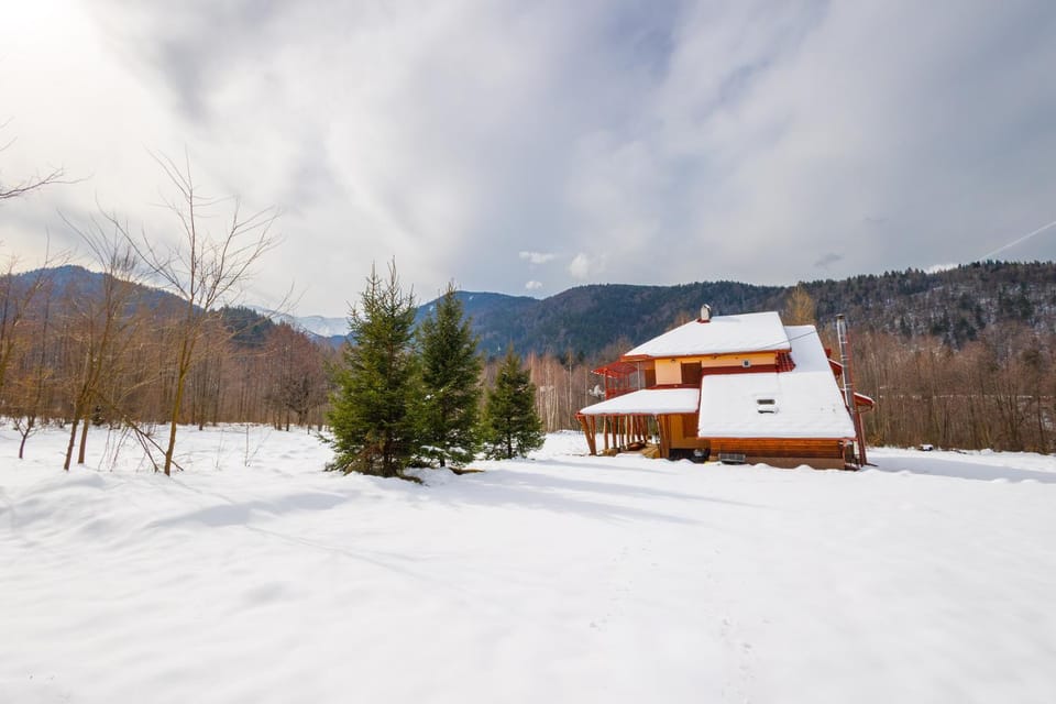 Cabana Antonica Villa in Brașov County