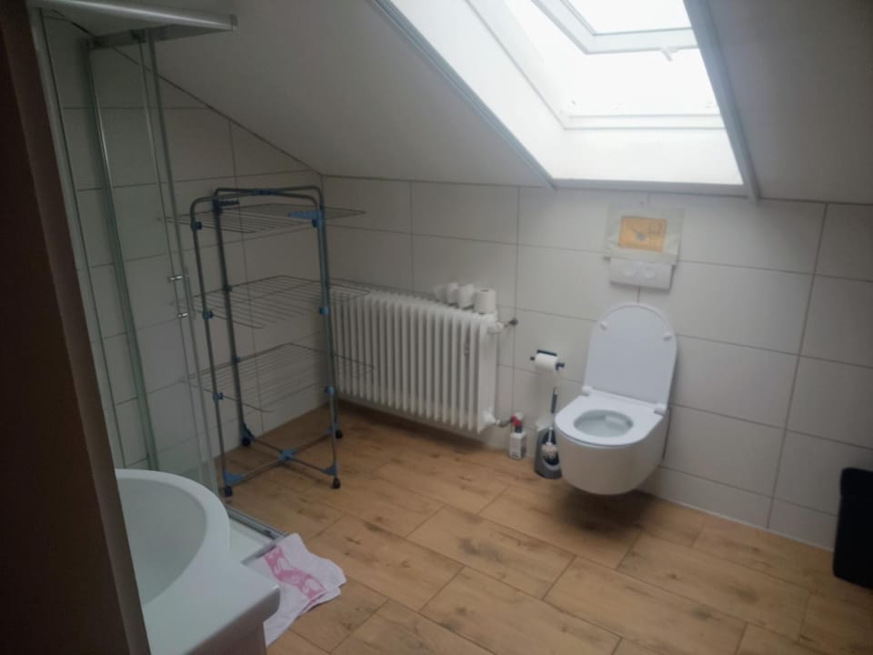 Toilet, Bathroom