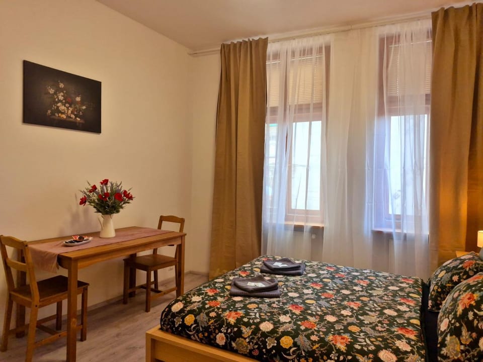 City Center Apartments - Měšťanský dům Minoritská III Apartment in Brno