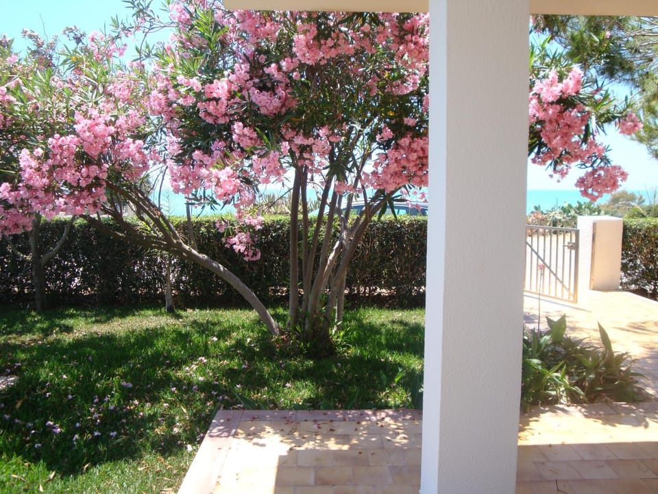 Spring, Garden