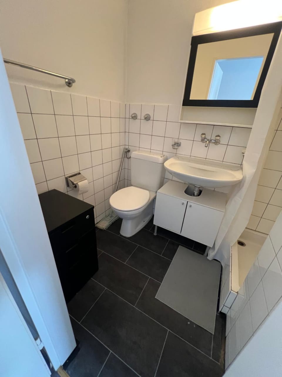 Toilet, Bathroom