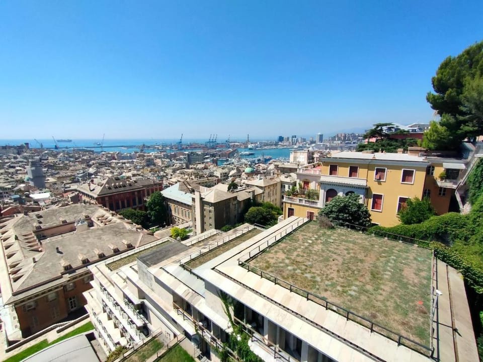 City view