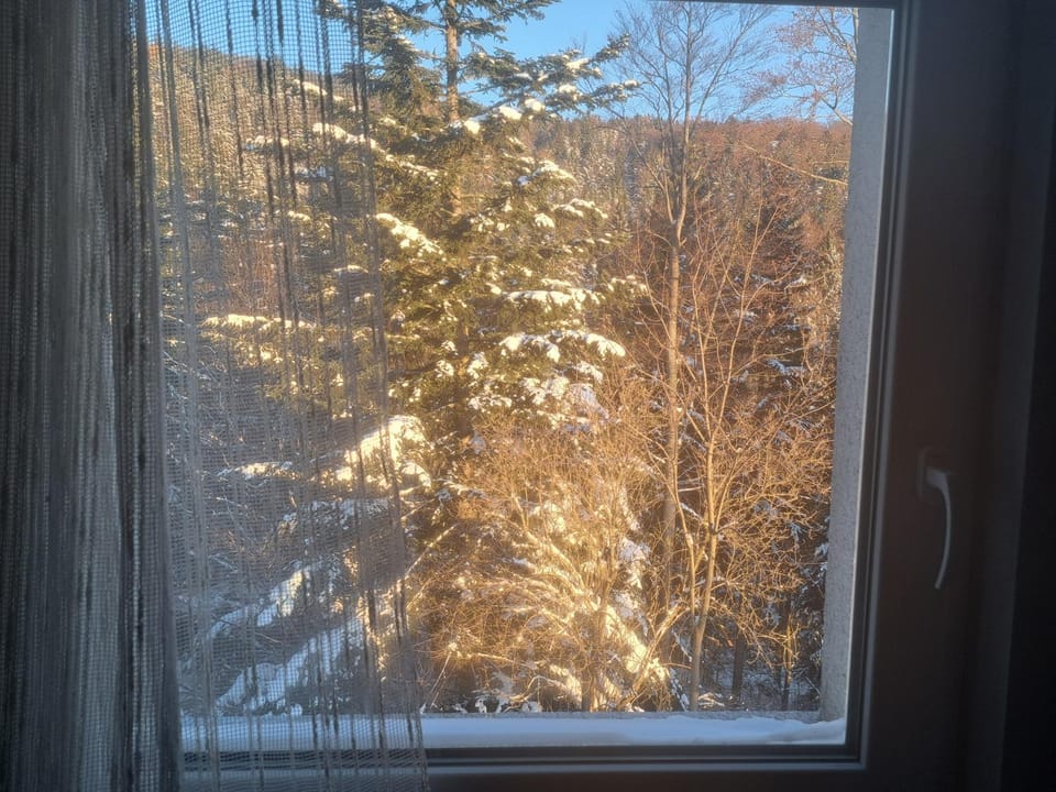 Day, Natural landscape, Winter