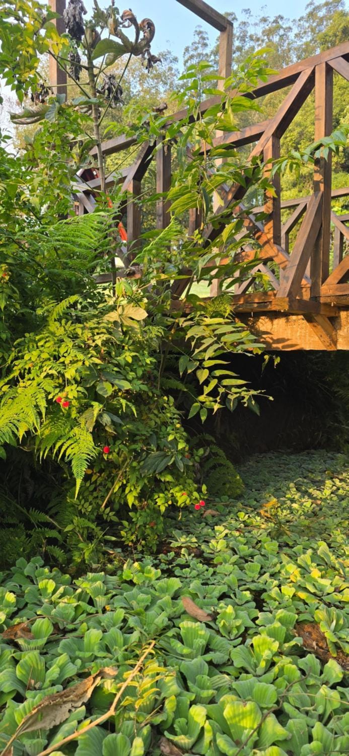 Cabañas de los árboles Apartment in Misiones Province, Argentina