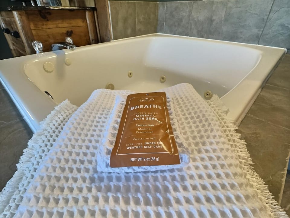 Mountain Studio Ski Access & Jet Tub Apartment in Lutsen