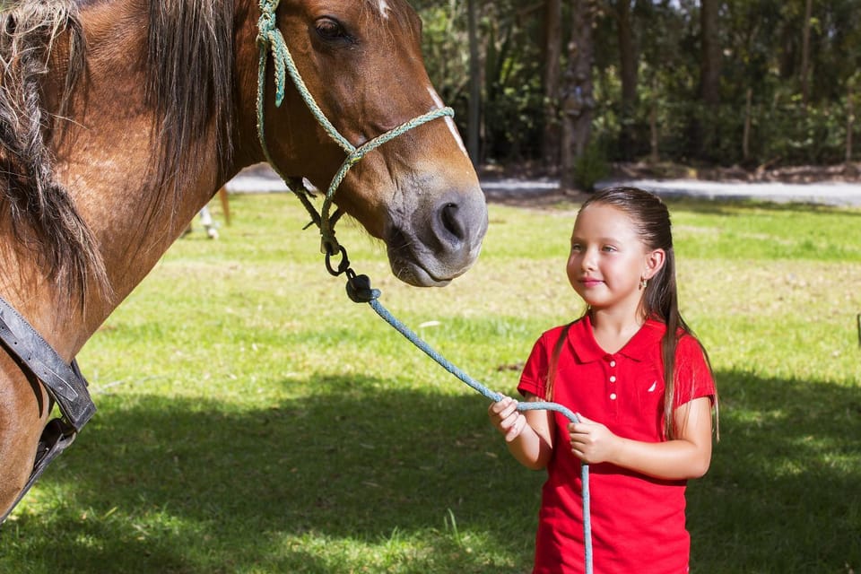 Horse-riding