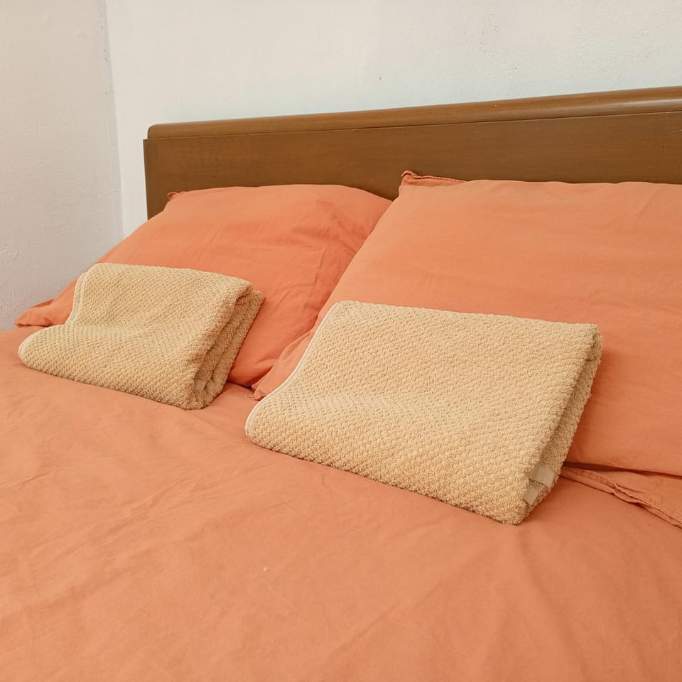 Hostal Kahlo Coyoacán Vacation rental in Mexico City