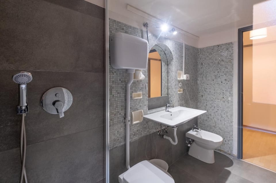 Shower, Toilet, Bathroom, bidet