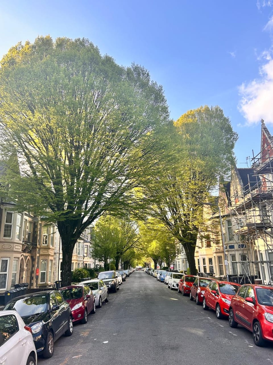 Neighbourhood, Street view, Location