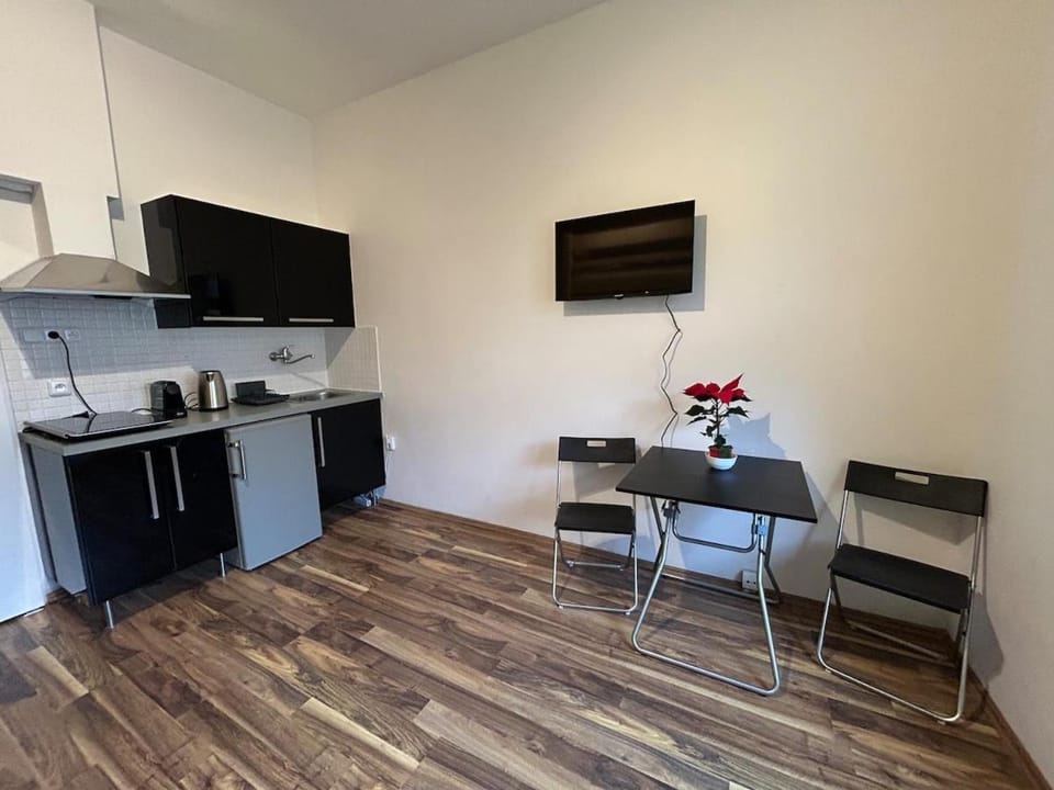 Bacpackers paradise in Prague City center Apartment in Prague