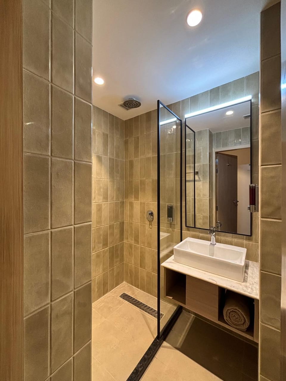 Shower, Bathroom