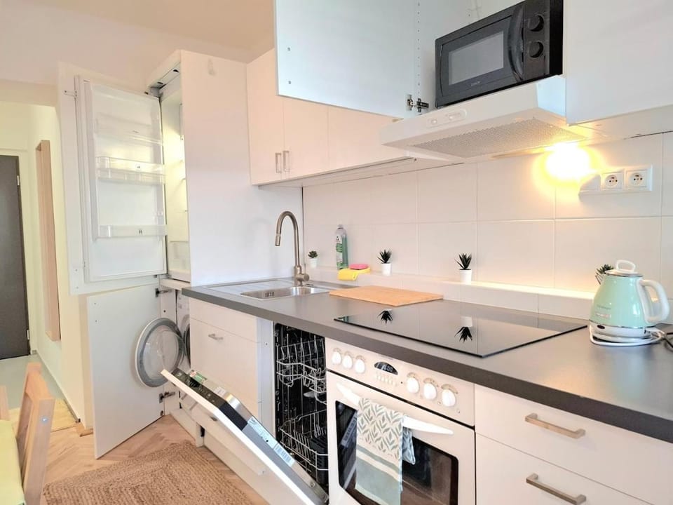 Kitchen or kitchenette, dishwasher, oven, stove