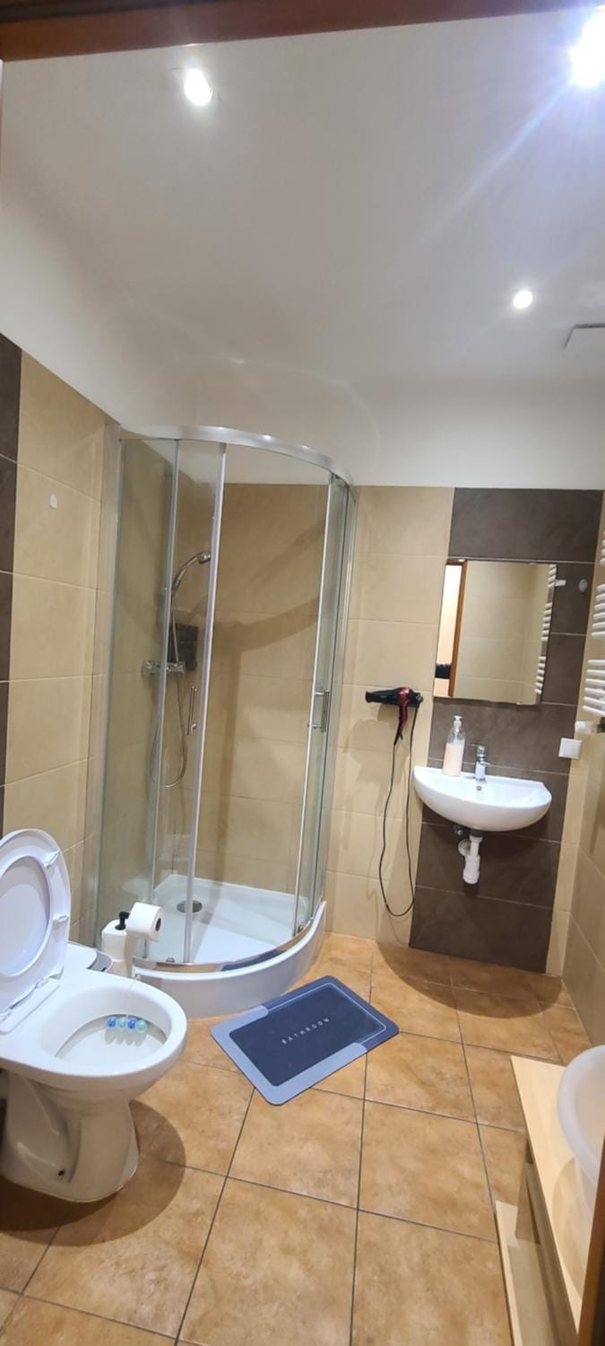 Shower, Toilet, hair dryier