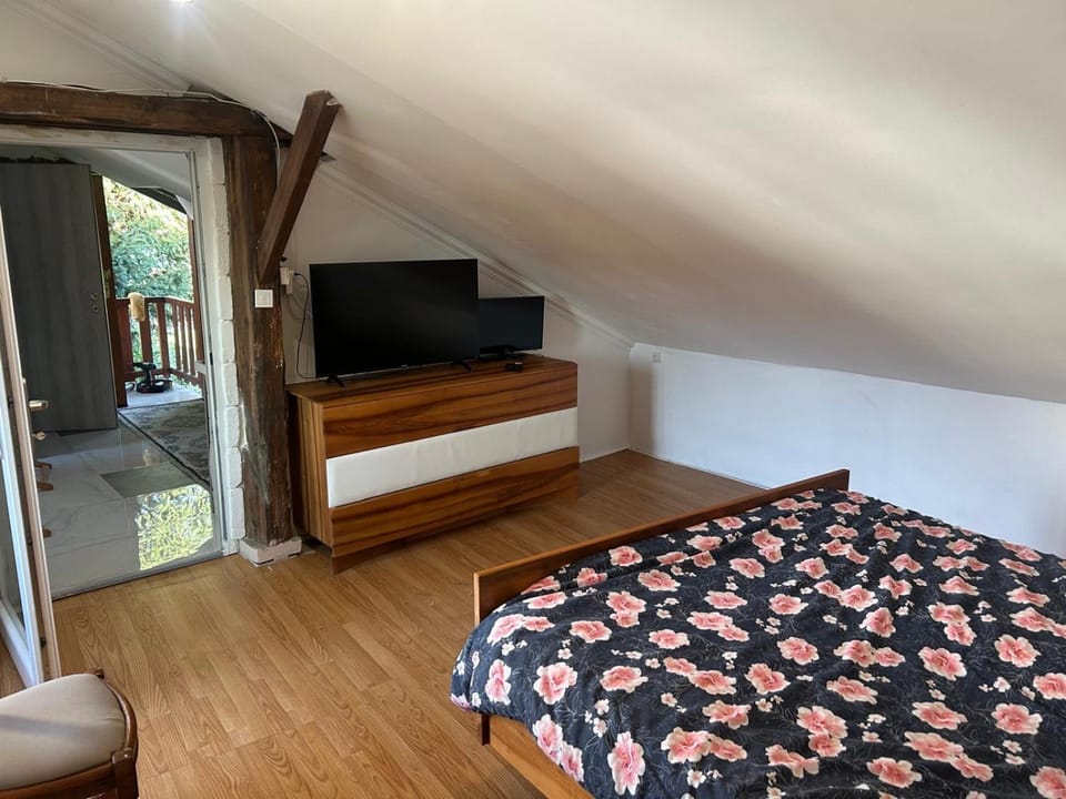 Charmante Maison Apartment in Grand Est