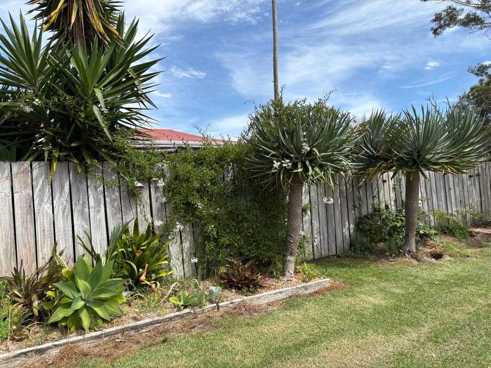 Lake Ngatu Cottage House in Northland