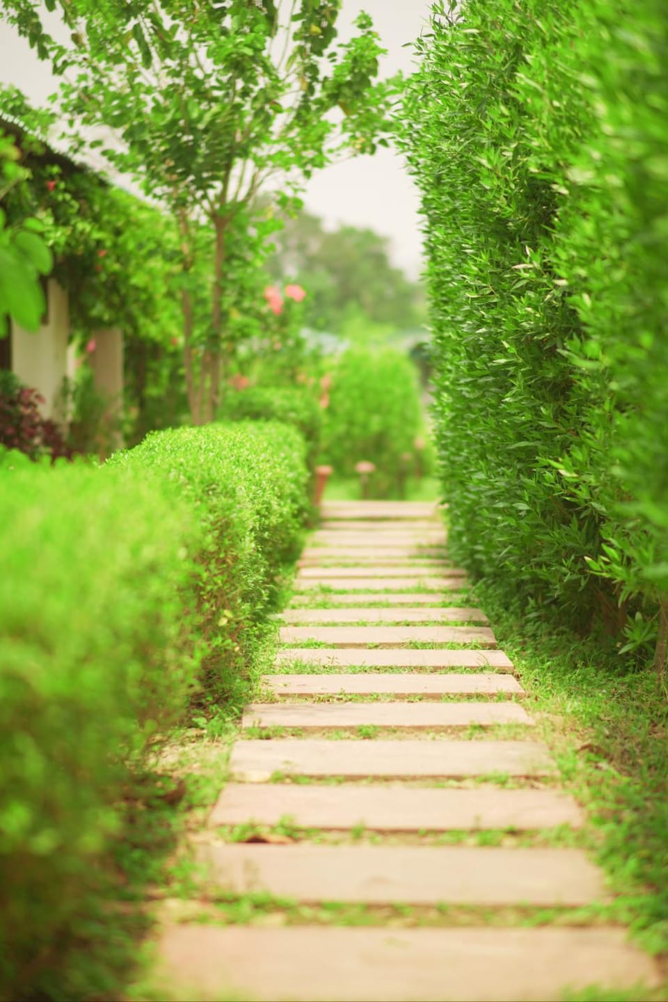 Entire Farm house in Jim Corbett with staff and cook House in Uttarakhand