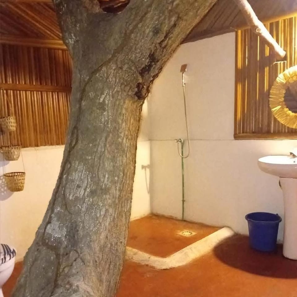 Danae Beach Sakatia Nature lodge in Africa