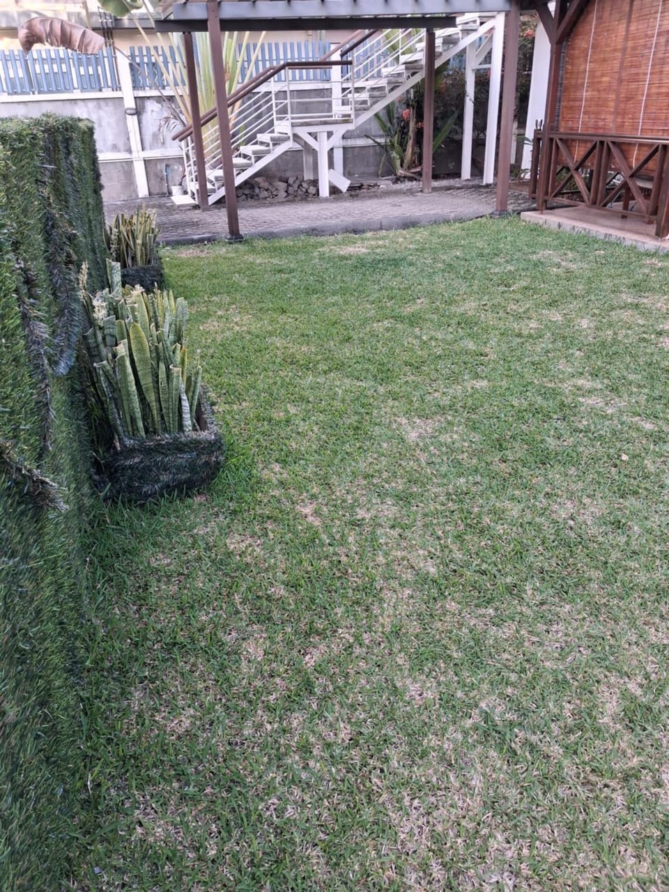 Spring, Day, Garden, Garden view