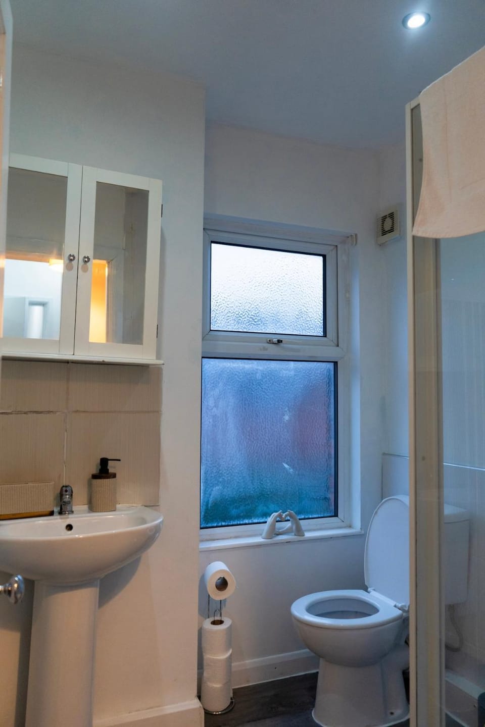 Shower, Toilet, Bathroom