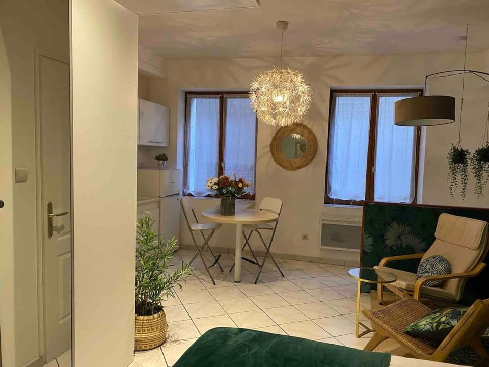 Oasis - City Center Apartment in Annecy