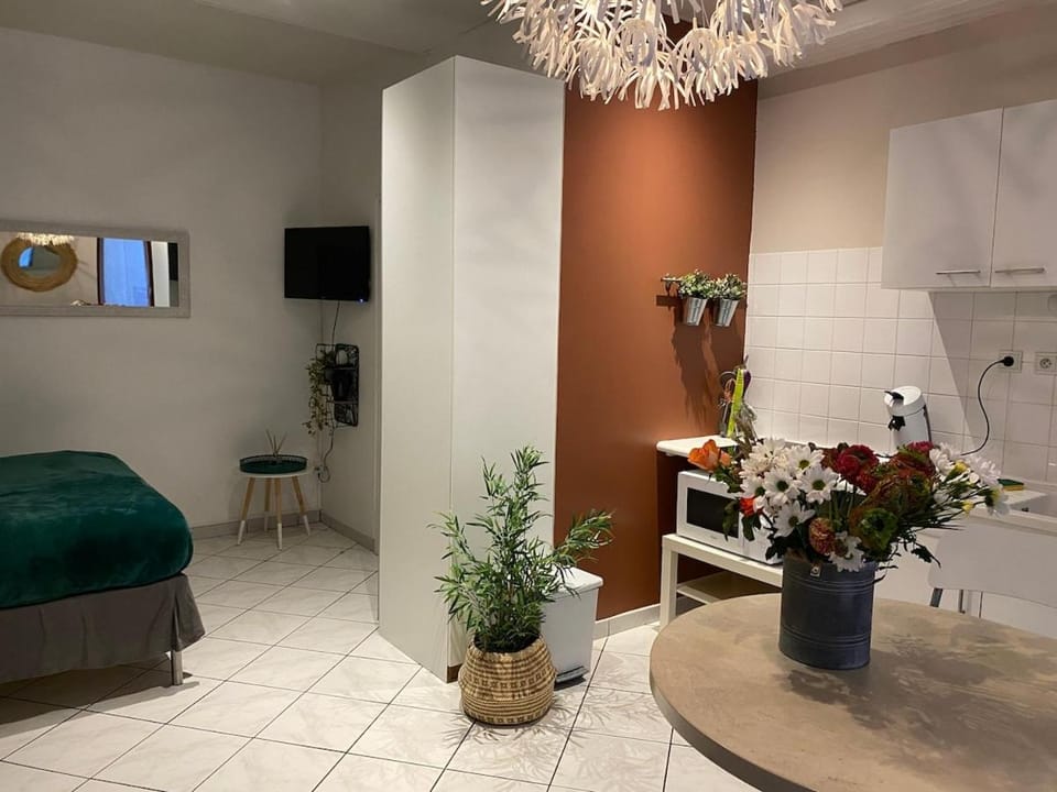 Oasis - City Center Apartment in Annecy