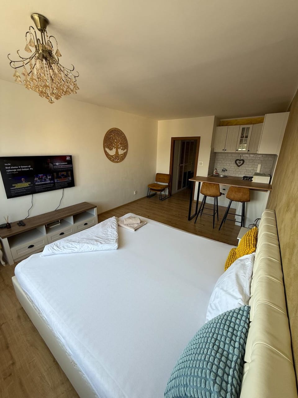 Kitchen or kitchenette, Bedroom