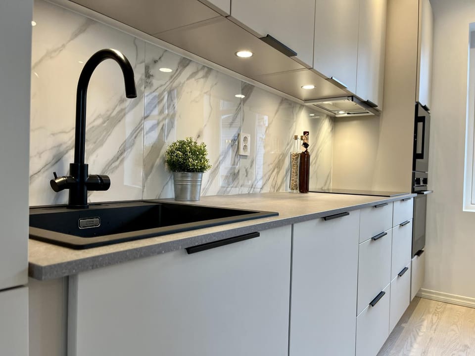 Kitchen or kitchenette, dishwasher, stove