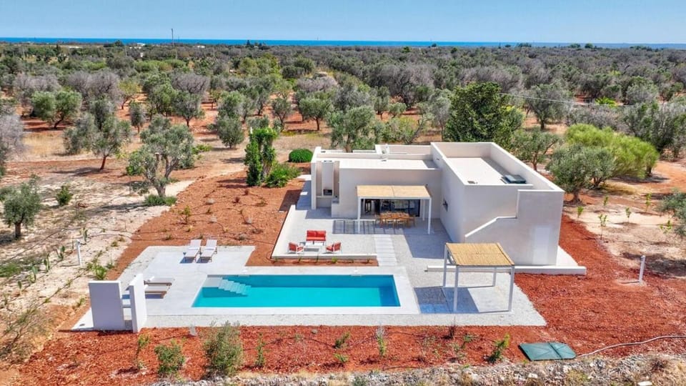 Bird's eye view, Swimming pool