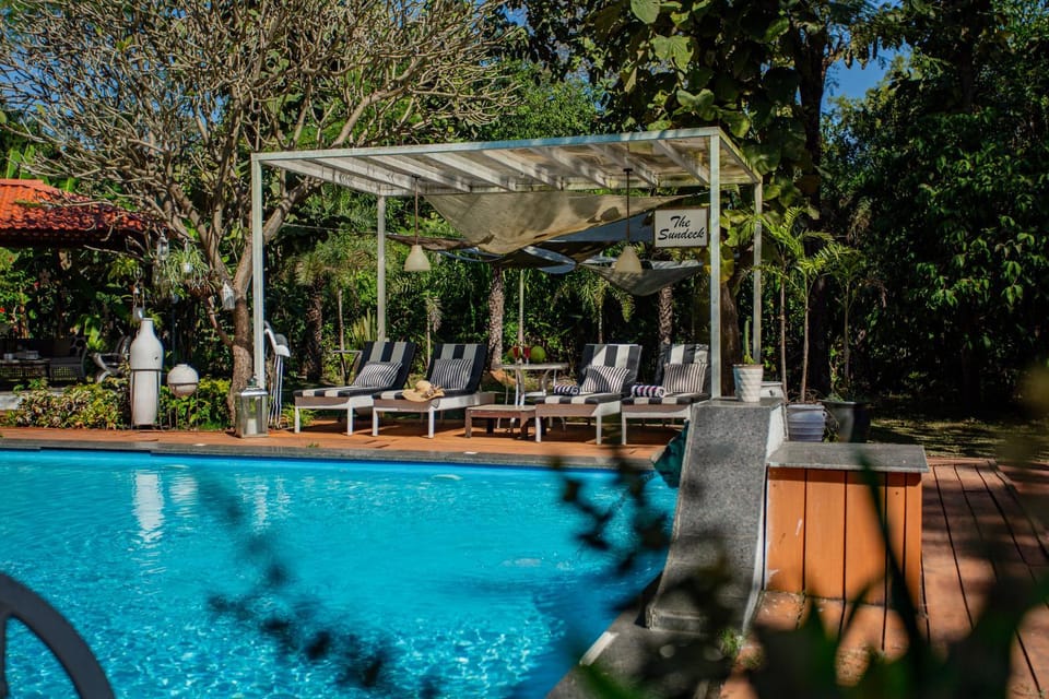 Patio, Spring, Day, Garden, Garden view, Pool view, Swimming pool, sunbed
