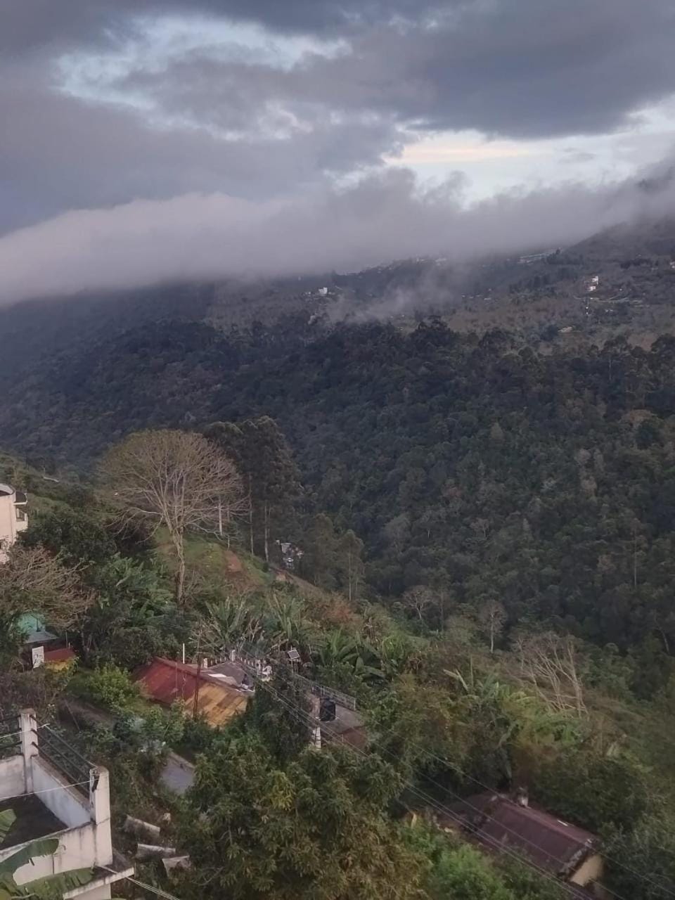 Mountain view