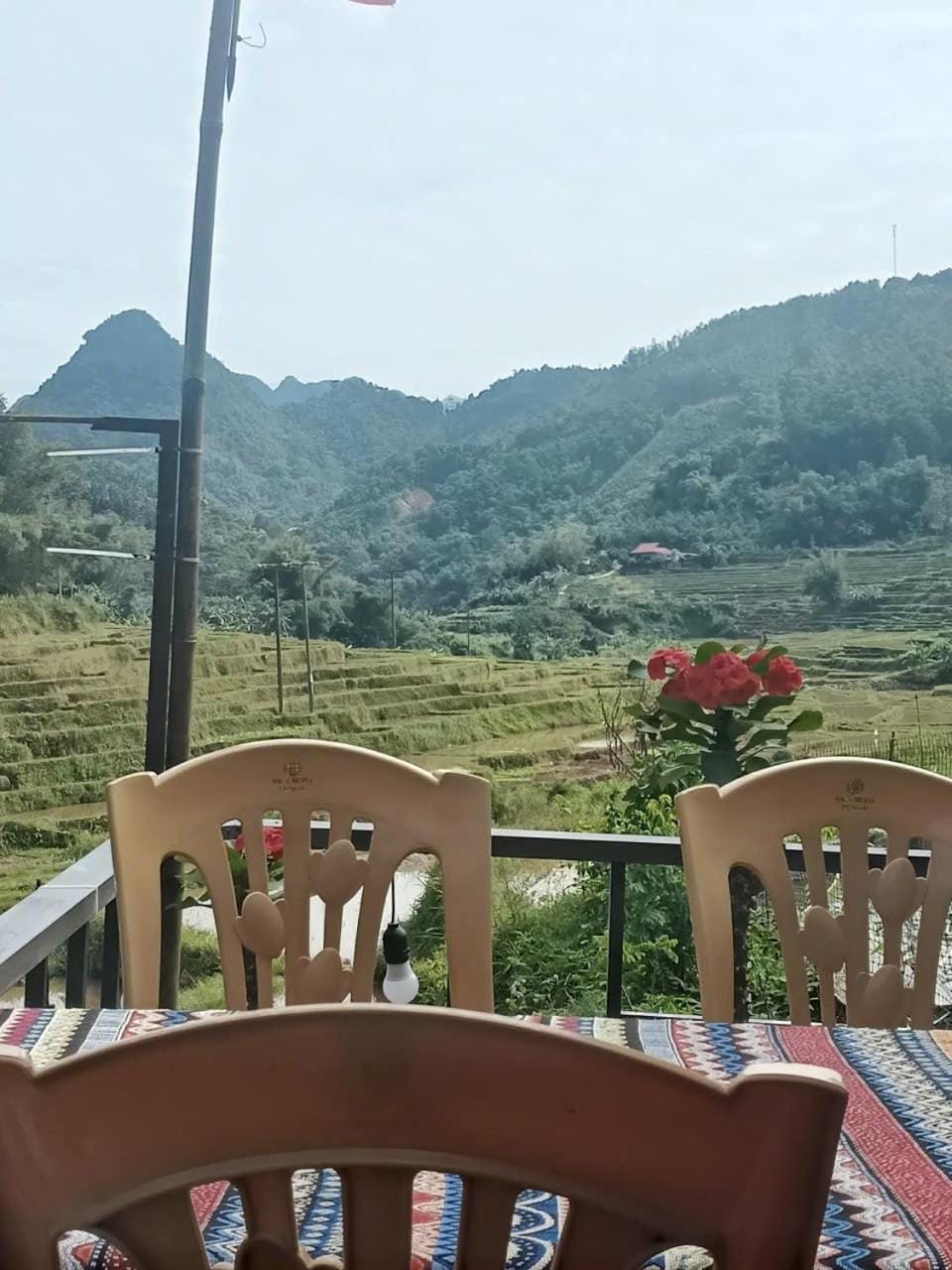 Homestay wiu field Apartment in Vietnam