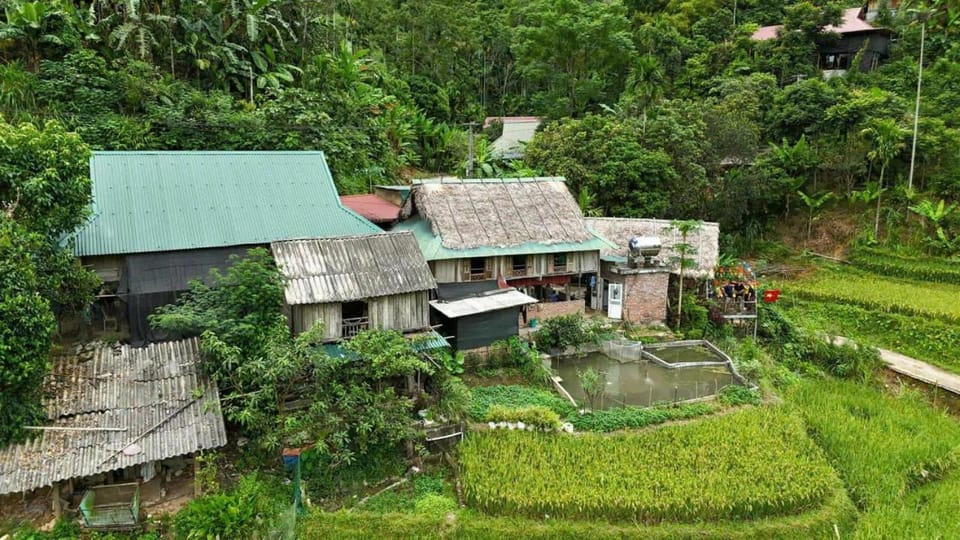 Homestay wiu field Apartment in Vietnam