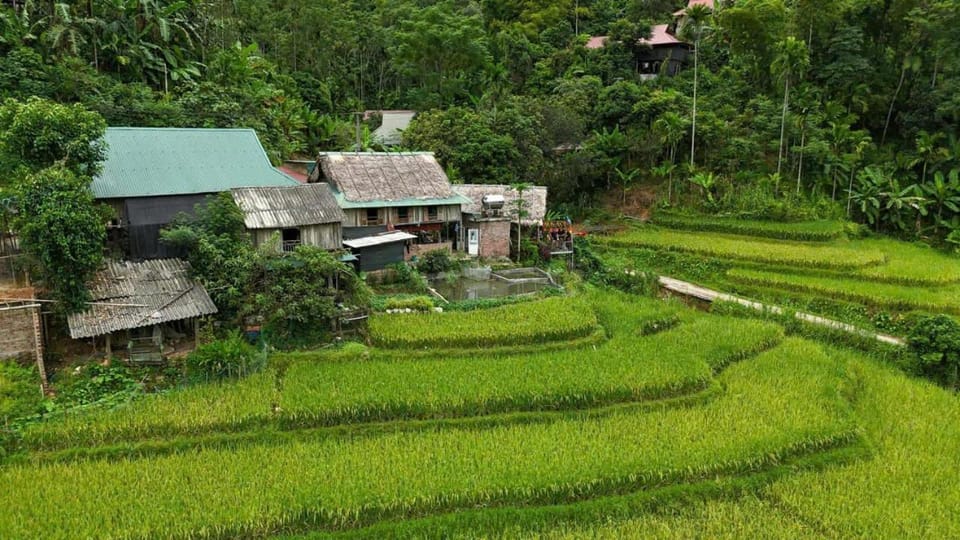 Homestay wiu field Apartment in Vietnam