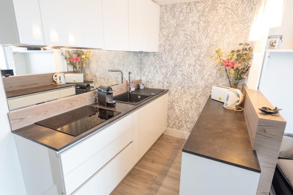 Coffee/tea facilities, Sea view, dishwasher, internet, stove, toaster, kitchen