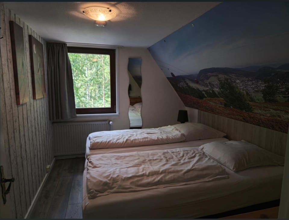 Ferienhaus Lemmerwald House in Willingen