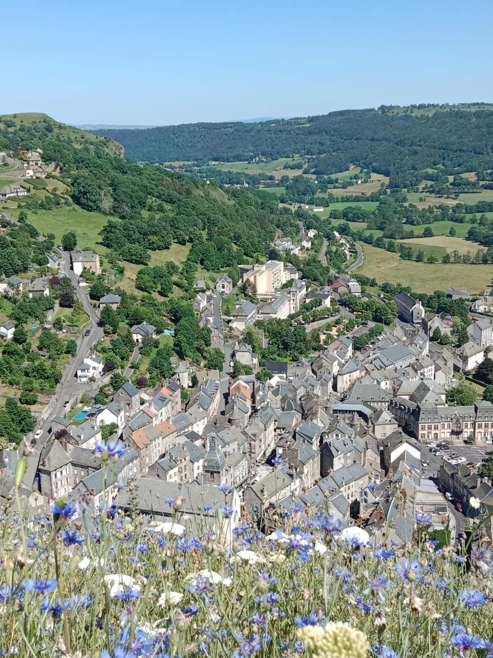 grand studio douillet et lumineux vue sur la vallée Apartment in Auvergne-Rhône-Alpes